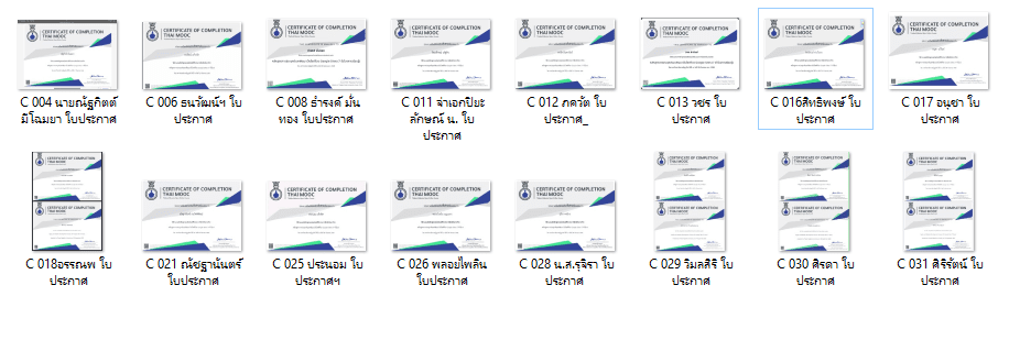 ทักษะดิจิทัล